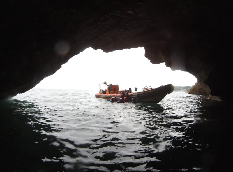 Powerboat Safari and Coasteering Adventure in Torquay gallery 4