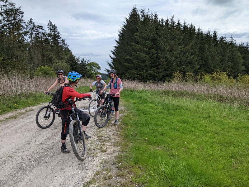 Bike and E-Bike Hire in Llangollen, North Wales gallery 4
