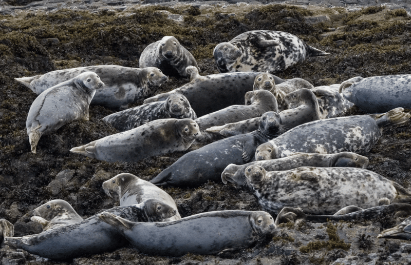 Guided Diving – You Choose The Location gallery 4