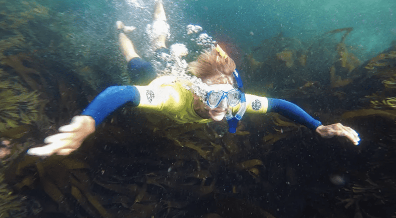 Kayak & Snorkelling Trip in Newquay, photo 3