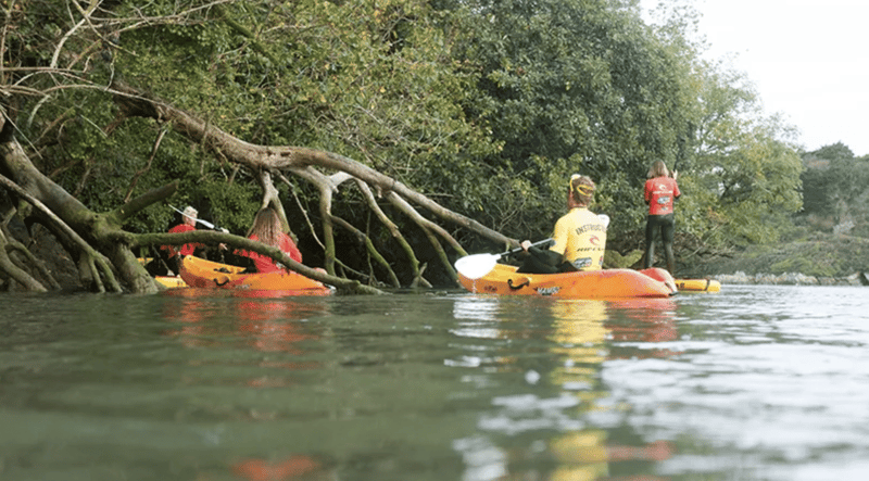 Kayak & Bushcraft Adventure in Newquay, photo 2