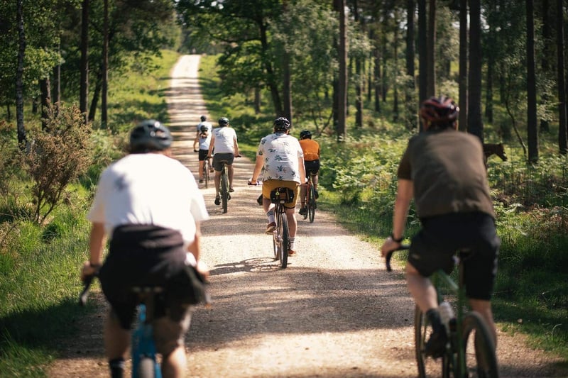 MTB, E-Bike & Gravel Bike Hire in the New Forest National Park, photo 5