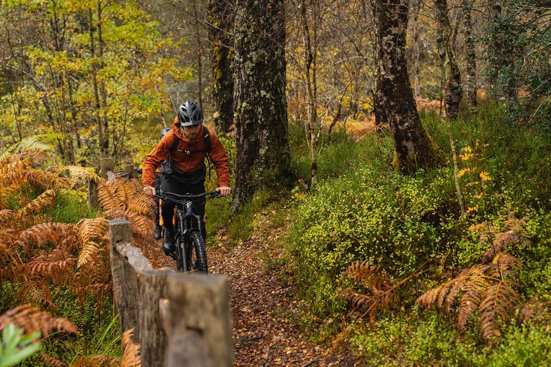 Intermediate MTB Coaching - Progression Session gallery 3