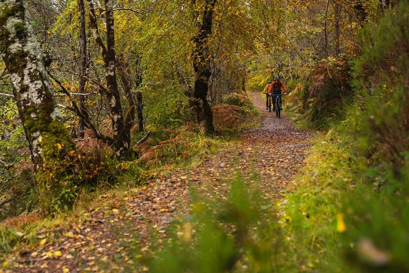 Intermediate MTB Coaching - Progression Session gallery 5