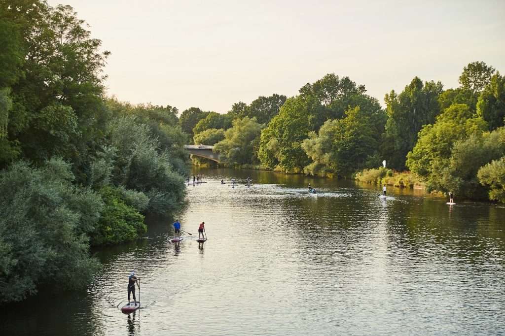 paddleboarding near me