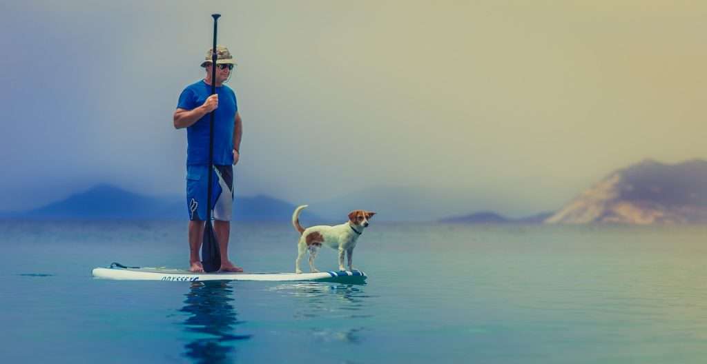 SUPs and Pups