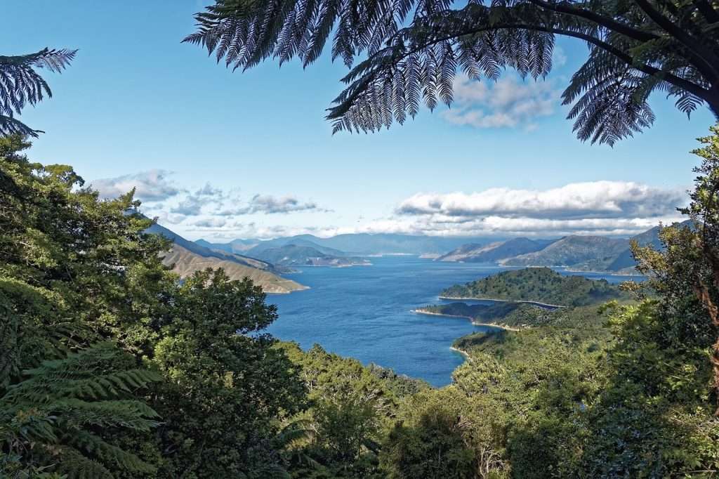 Sailing trip around Zealand's Bay of Islands