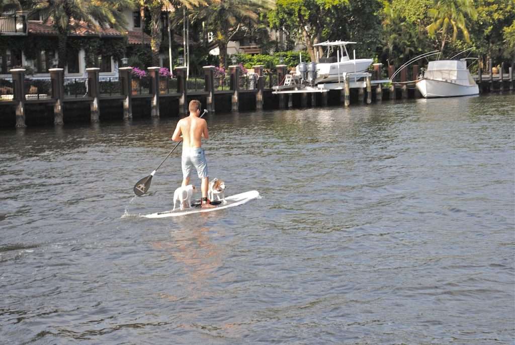 Connect with nature and get fit with stand up paddleboarding