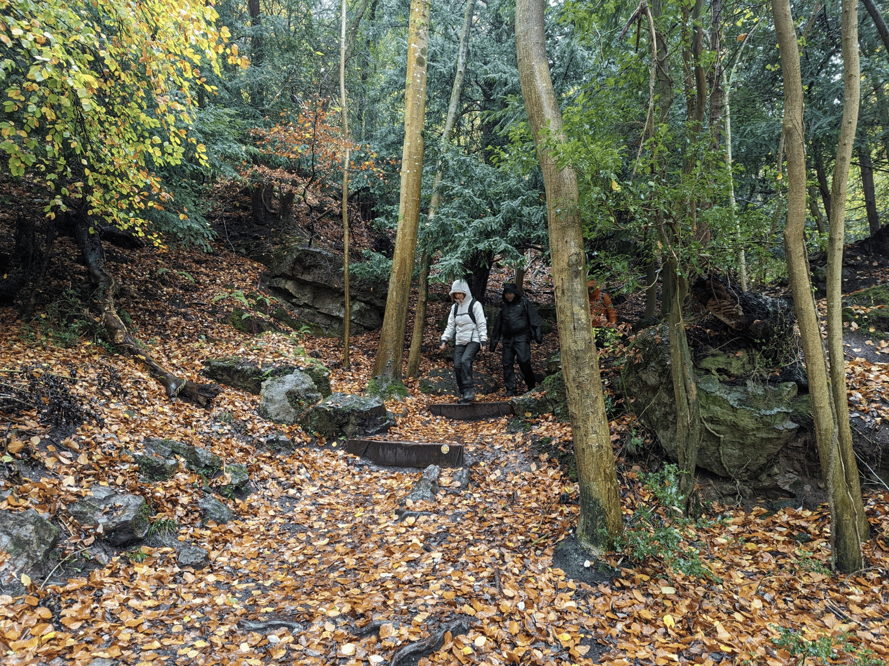 Private Guided Hike: King Arthur’s Wye Valley Wander gallery 4