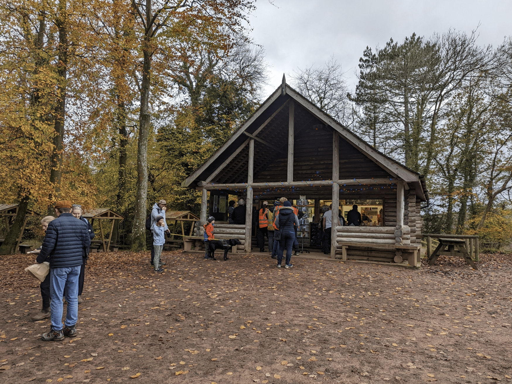 Private Guided Hike: King Arthur’s Wye Valley Wander gallery 5