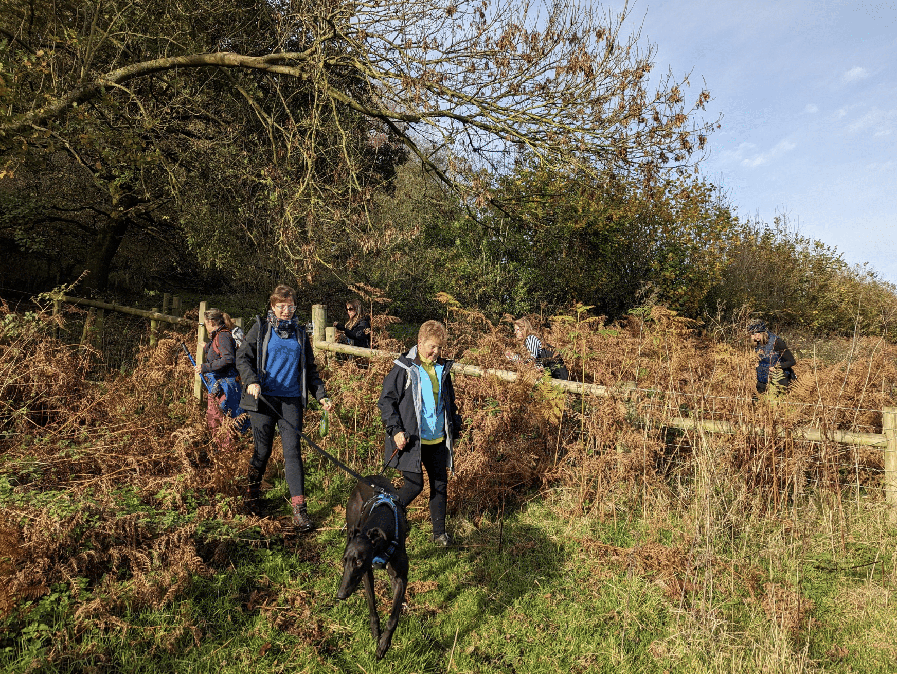 Private Guided Hike: King Arthur’s Wye Valley Wander gallery 7
