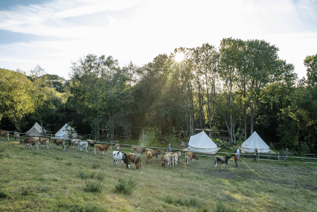 Surf, Yoga and Wild Camping Weekend in Cornwall, photo 4
