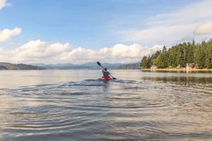 lost powerboat level 2 certificate