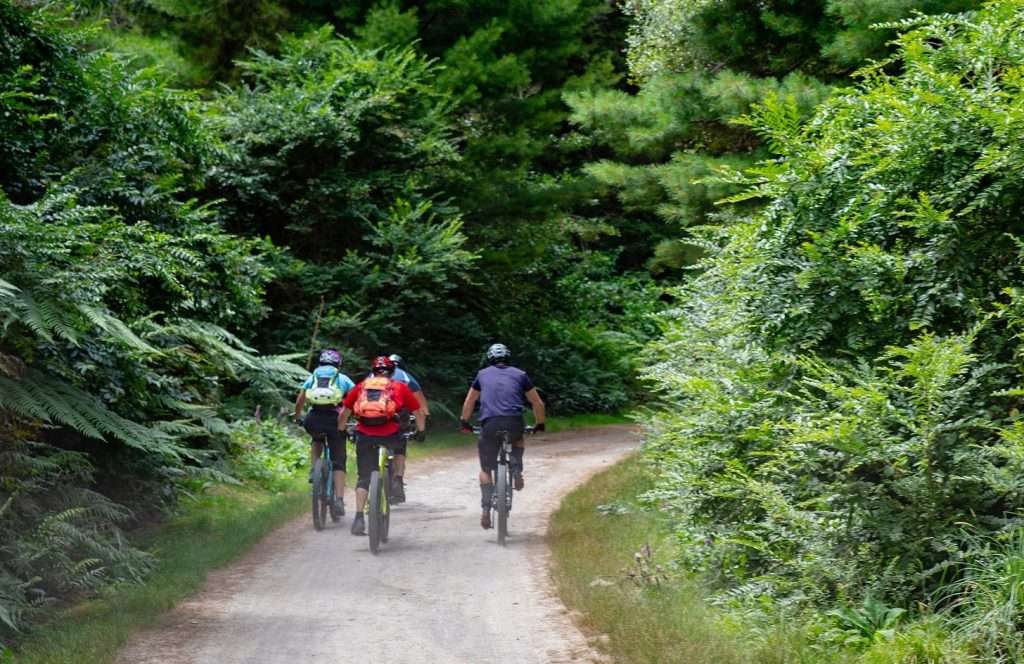 Mountain biking - adventuro