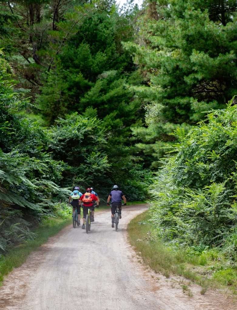 Things to do in Pembrokeshire Biking