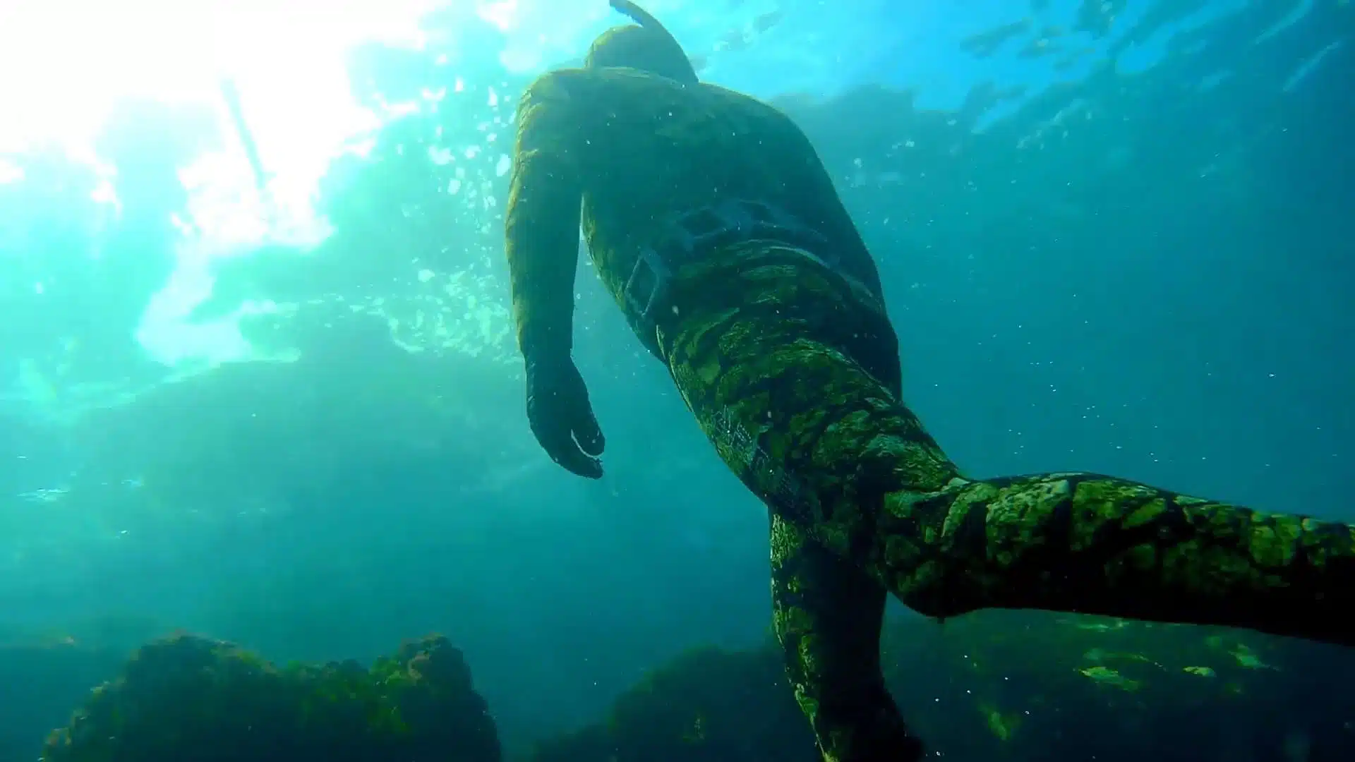 Guided Spearfishing, photo 2