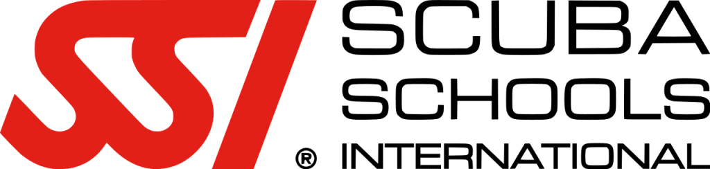 Why do SSI courses (logo)