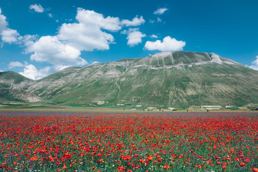 Paragliding in Castelluccio, Italy