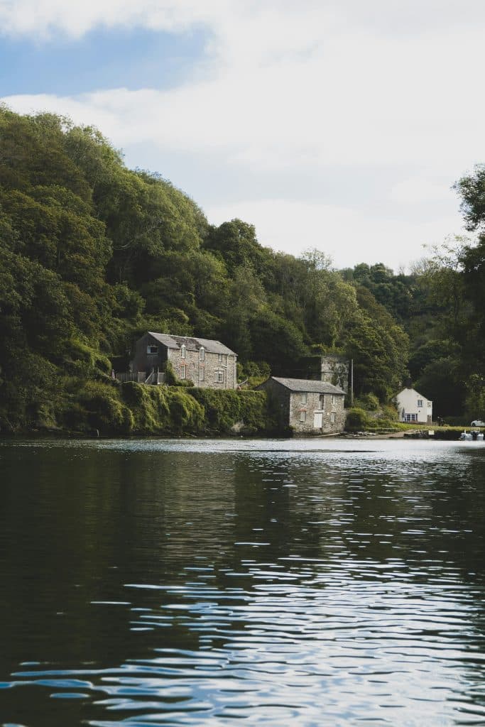 wild swimming river fowey