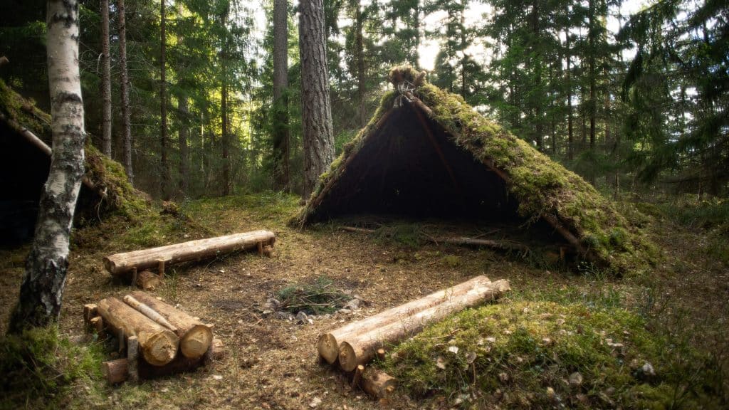 Survival Skills Workshops