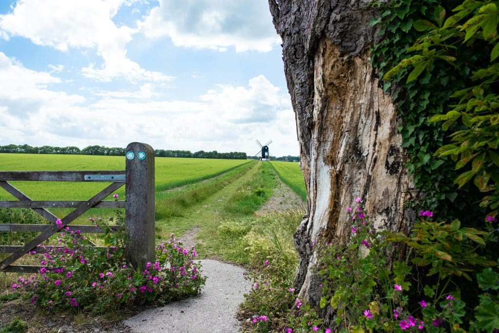 Lowland leader popular locations in the UK