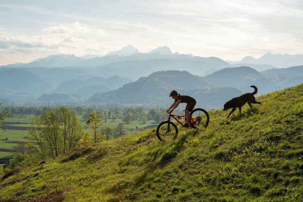Exciting Dog Friendly Adventures in the UK