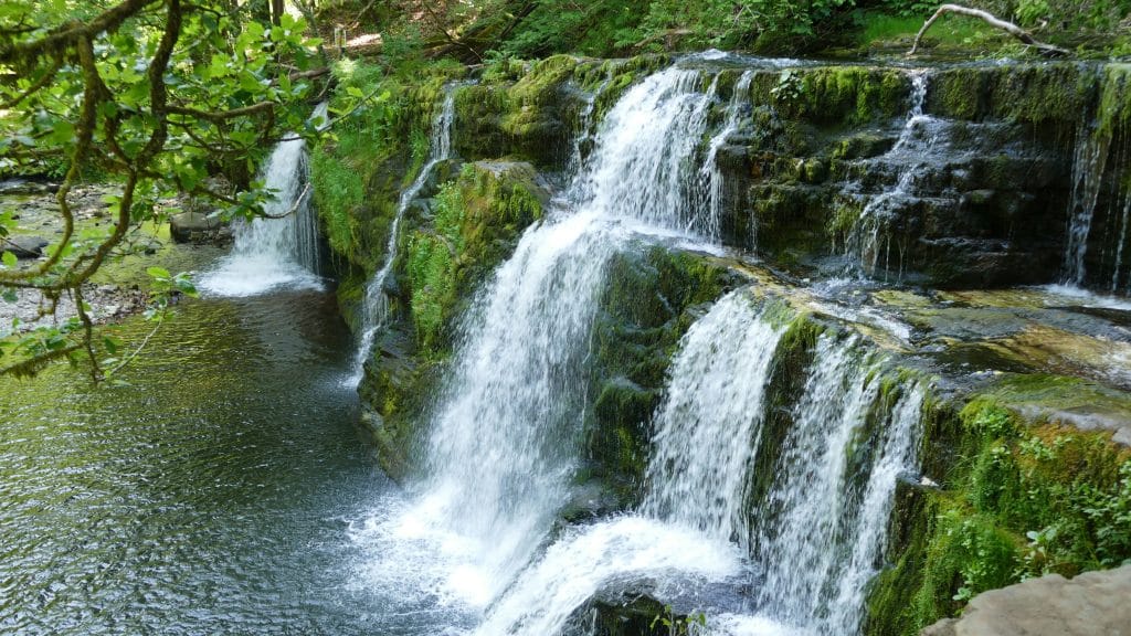 Exciting Dog Friendly Adventures in the UK - Brecon Beacons