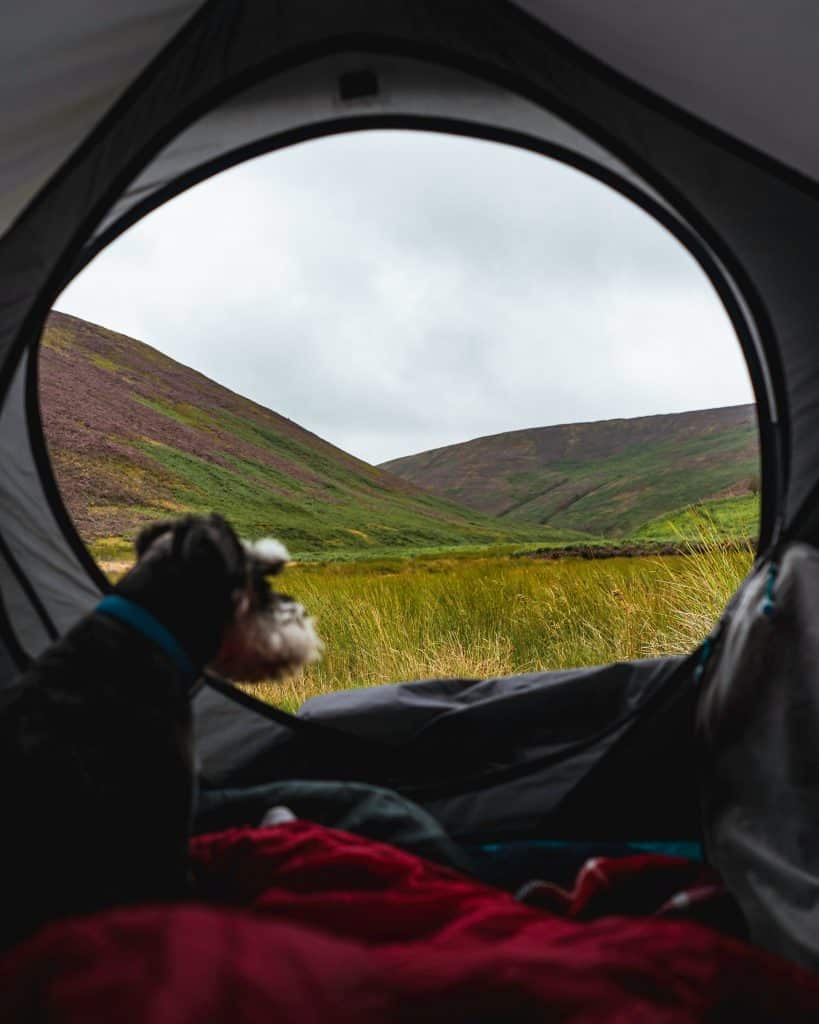 Exciting Dog Friendly Adventures in the UK