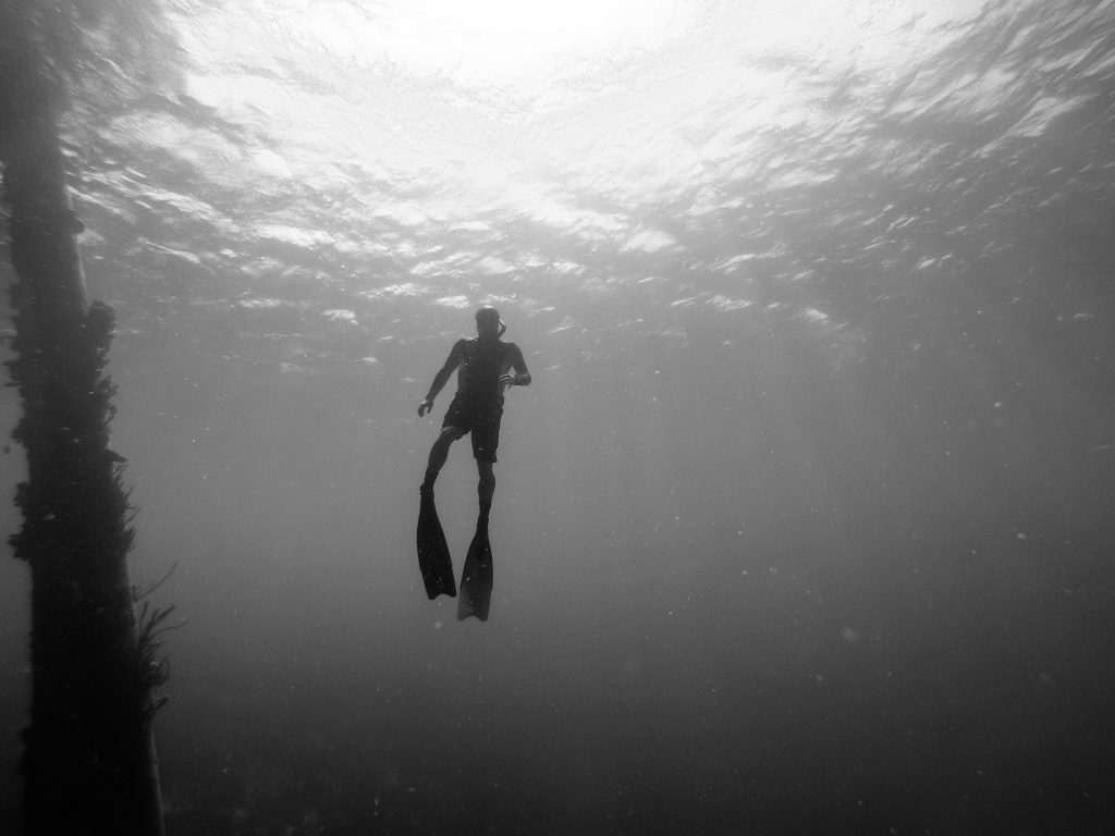 Freediving Certifications – A Complete Guide - adventuro