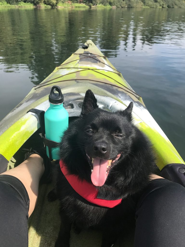 Recreational kayak with dog