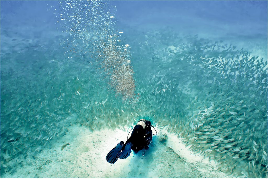 Eco-conscious Scuba Diving - adventuro