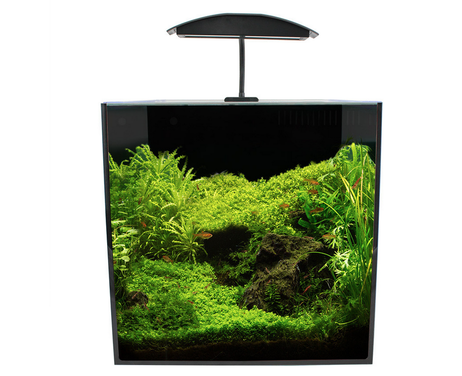 Fish Tank or Aquarium Starter Kit