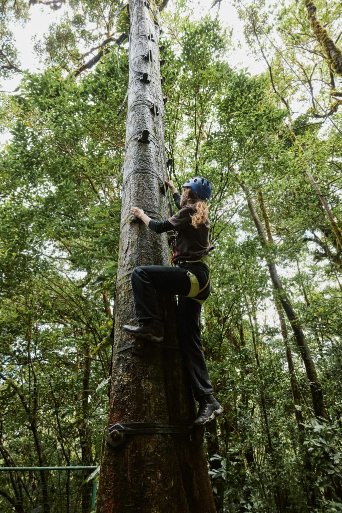 Woman Tree Climbing in the woods