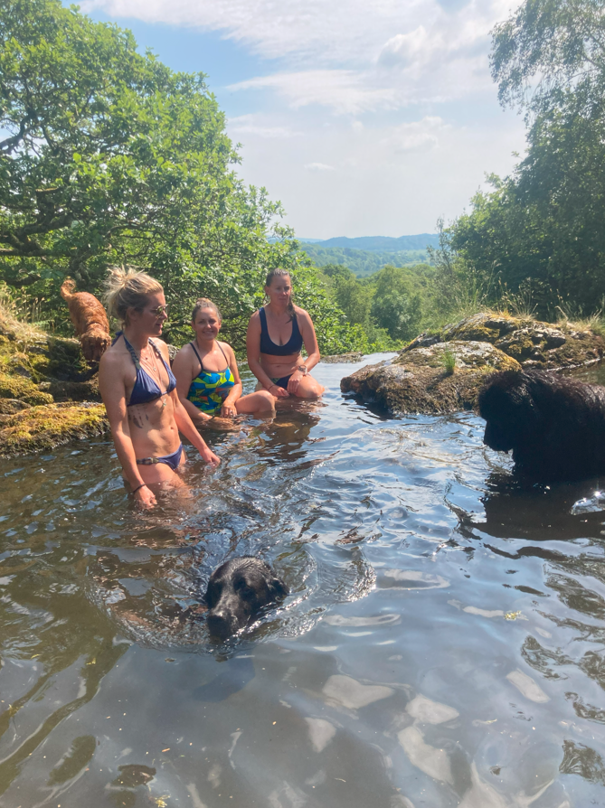 3-Day Wild Swimming Retreat in North Wales gallery 10
