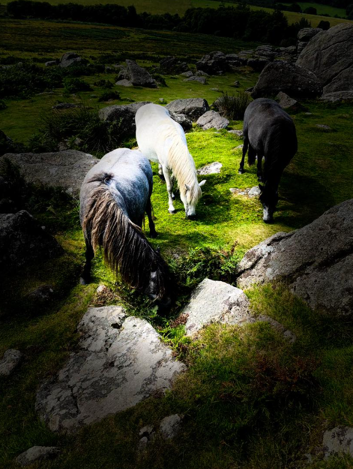 Outdoor Rock Climbing Adventure in Dartmoor gallery 4