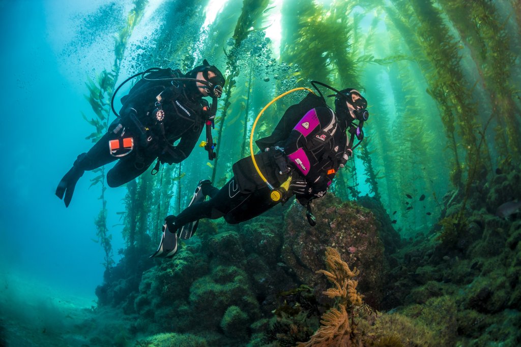 PADI Deep Diver Specialty Course, photo 2