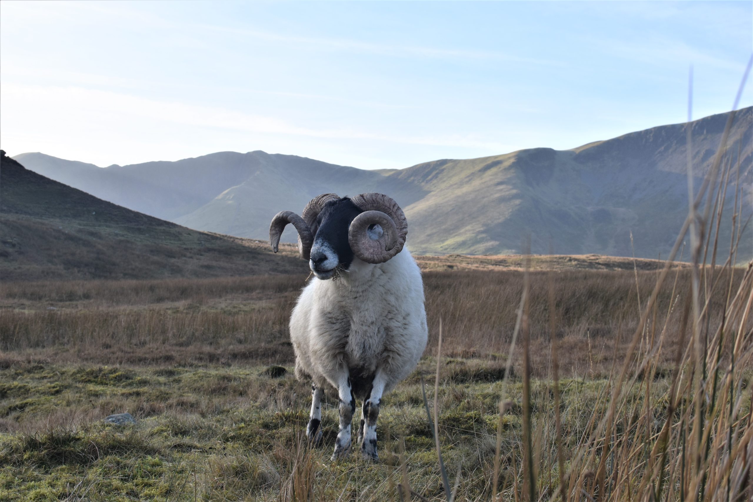 Nantlle Ridge, North Wales – An Epic Guided Hike gallery 2