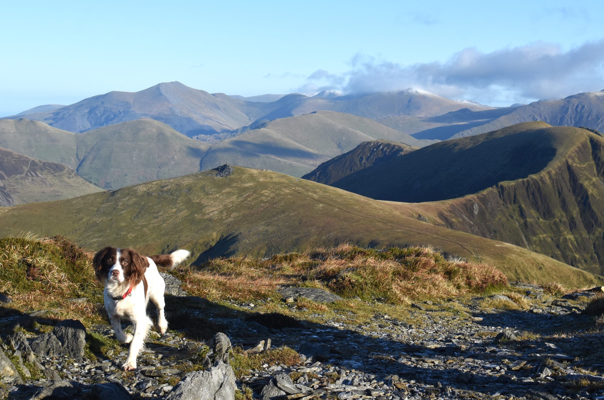 Adventure Days in North Wales – Scrambles, Swimming and Mountain Treks, photo 3
