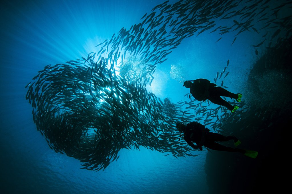 PADI Full Face Mask Specialty Course, photo 4