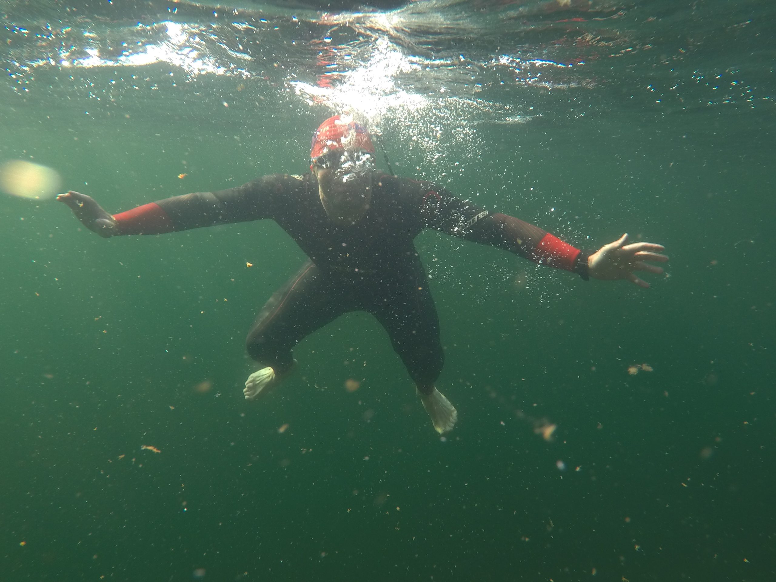 ‘Wordsworth’s Daffodils’ Guided Wild Swim in Ullswater gallery 2