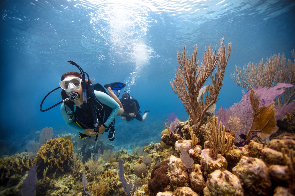 PADI Open Water Referral Course (PART A), photo 4