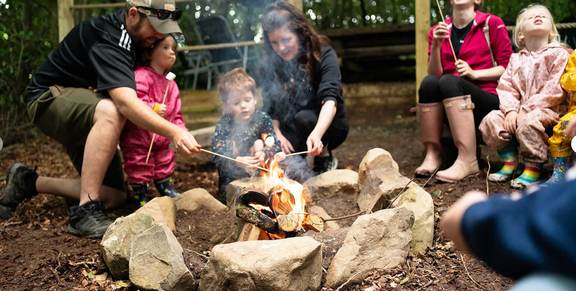 Children’s Professional Forest School in Ballynahinch, photo 5