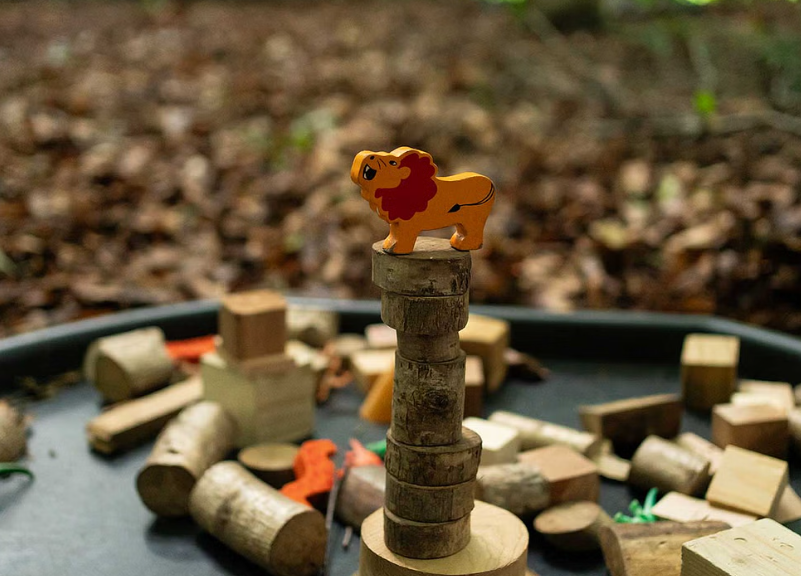 Children’s Professional Forest School in Ballynahinch gallery 2