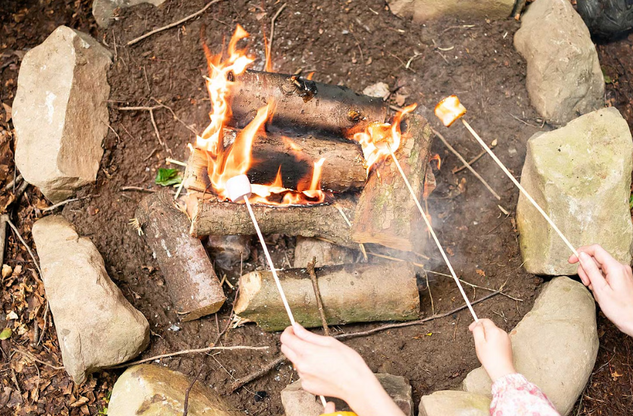 Children’s Professional Forest School in Ballynahinch, photo 3