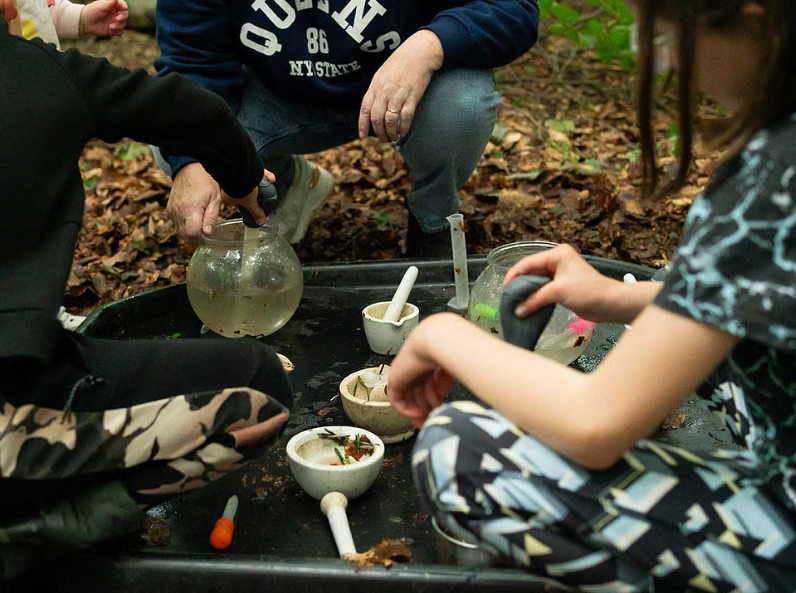 Children’s Professional Forest School in Ballynahinch, photo 4
