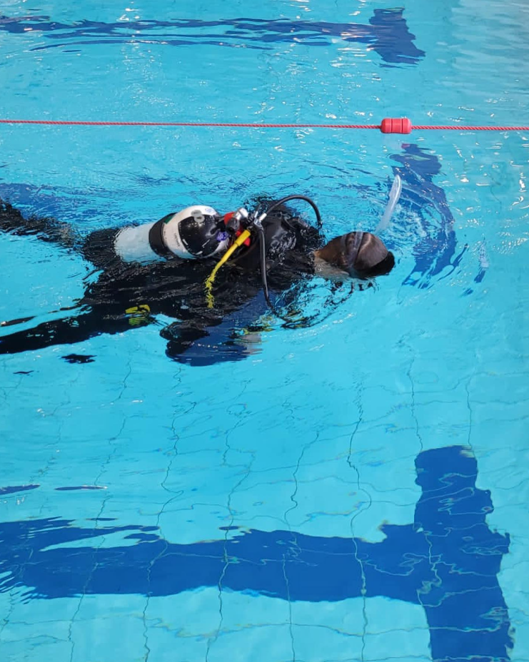 SSI Diver Stress & Rescue Course in Borehamwood, photo 3
