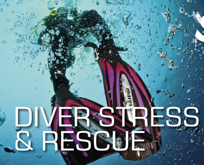 Diver Stress and Rescue certification
