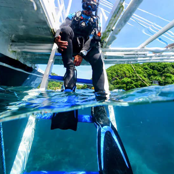 SSI Marine Ecology Diver Course in Borehamwood, photo 4