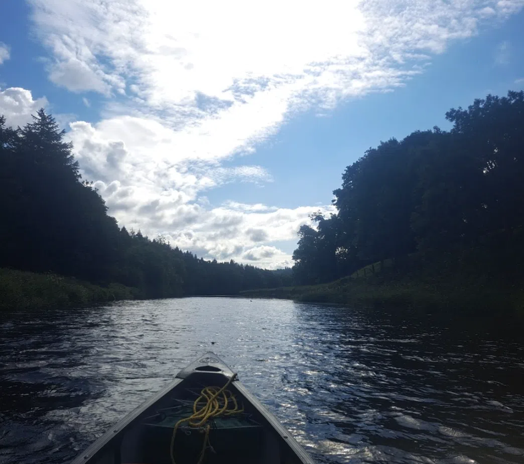 Canoe the River Tweed: Peebles to Innerleithen, photo 4