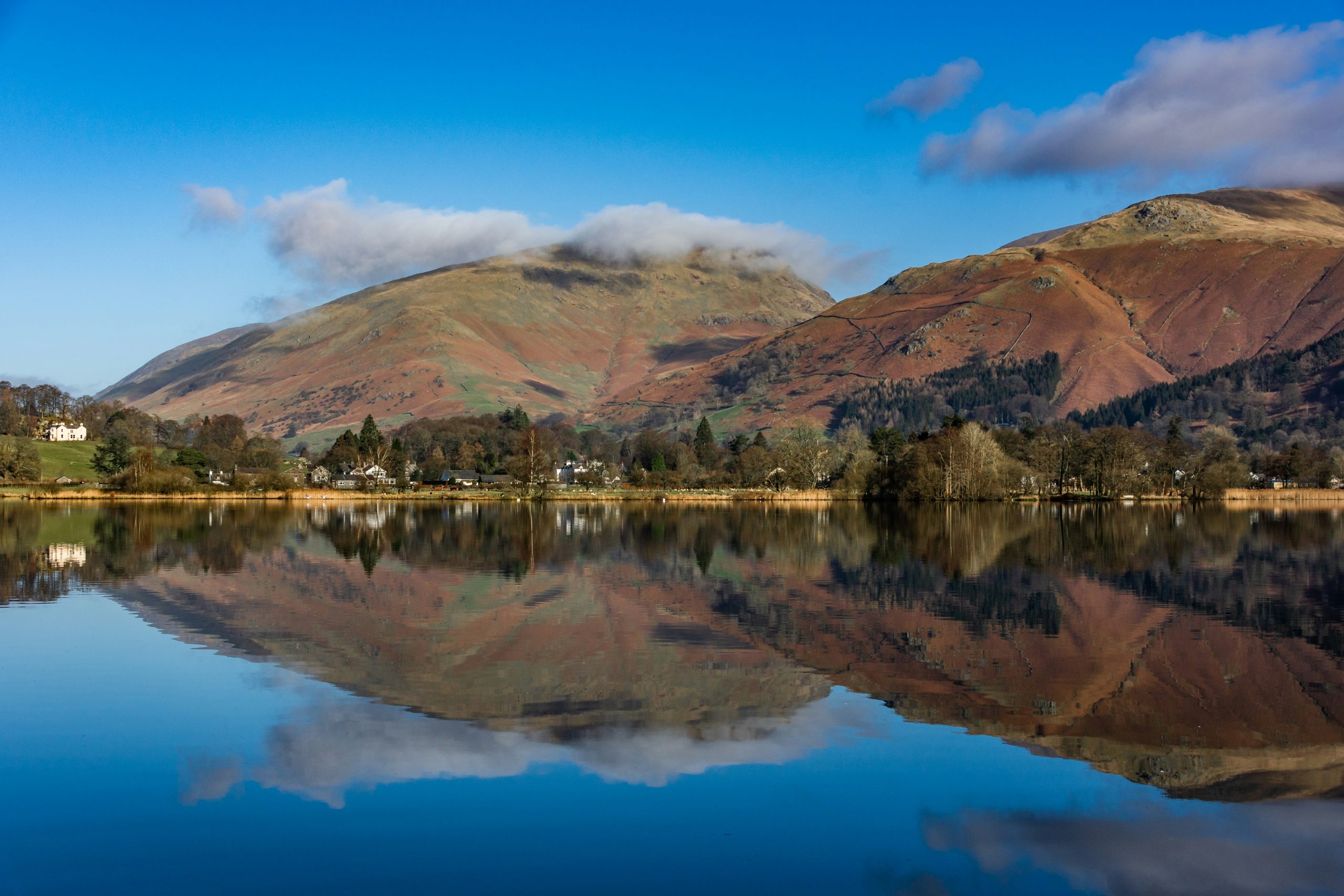 ‘Wordsworth’s Daffodils’ Guided Wild Swim in Ullswater, photo 5